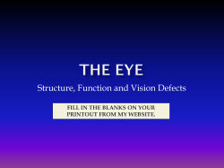 The Eye - zeroBio