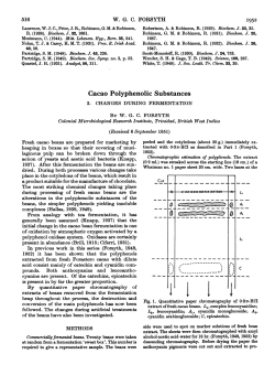 Cacao Polyphenolic Substances -Cut