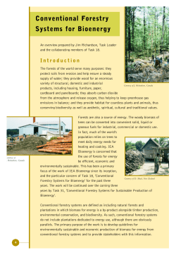 Conventional Forestry Systems for Bioenergy