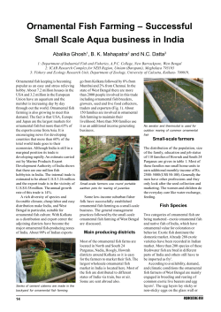 Ornamental Fish Farming
