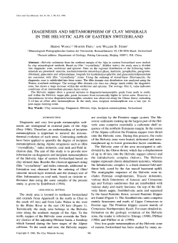 diagenesis and metamorphism of clay minerals in the helvetic alps