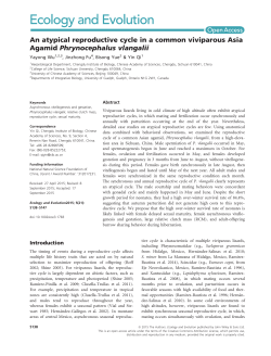 An atypical reproductive cycle in a common viviparous Asia Agamid