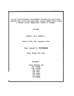 use of containerized strawberry transplants for water conservation