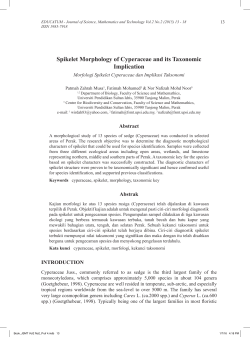 Spikelet Morphology of Cyperaceae and its - UPSI