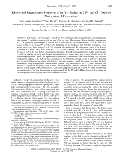 Kinetic and Spectroscopic Properties of the YZ