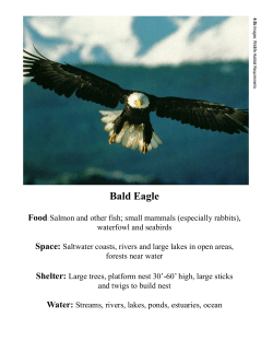 4-2b Images 3 CR LTR