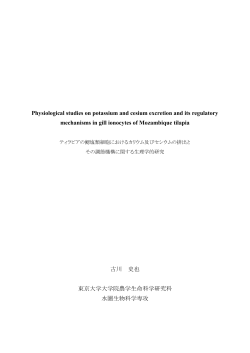 Physiological studies on potassium and cesium excretion and its