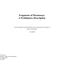 Fragments of Piscataway: A Preliminary Description
