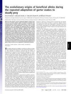 Testing the evolutionary origins of beneficial alleles during the