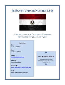 egypt update 13 - M Cherif Bassiouni