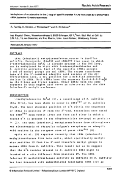 Methylation of an adenosine in the D