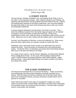 pemberton bushwalks a forest focus the karri experience