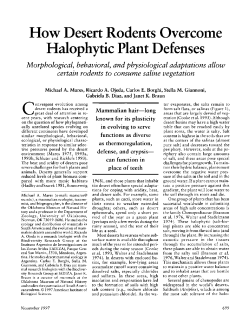 Halophytic Plant Defenses - Oxford Academic