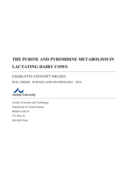 THE PURINE AND PYRIMIDINE METABOLISM IN LACTATING