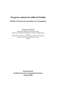 Neospora caninum in cattle in Sweden