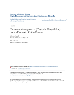 Choanotaenia atopa n. sp. (Cestoda: Dilepididae) from a Domestic