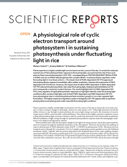 A physiological role of cyclic electron transport