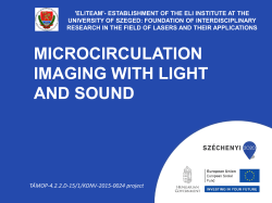 MICROCIRCULATION IMAGING WITH LIGHT AND SOUND