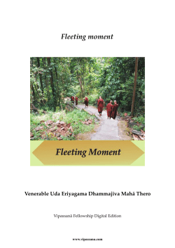 Fleeting moment - Nissarana Vanaya