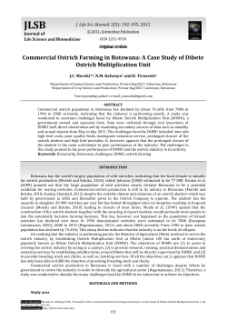 Commercial Ostrich Farming in Botswana