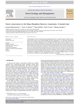 Forest concessions in the Maya Biosphere Reserve