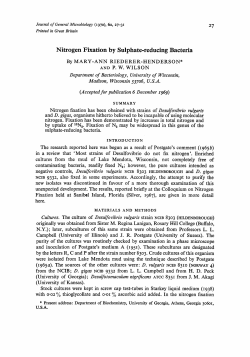 Nitrogen Fixation by Sulphate-reducing Bacteria