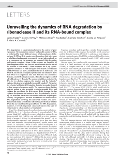 Unravelling the dynamics of RNA degradation by ribonuclease II