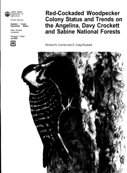 Red-Cockaded Woodpecker Colony Status and Trends on the