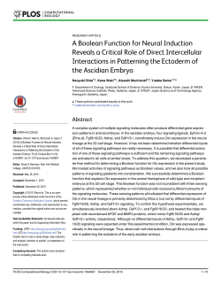 A Boolean Function for Neural Induction Reveals a Critical