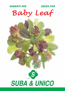 - Suba Seeds