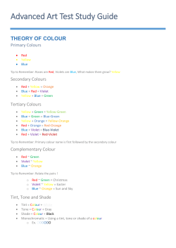 Advanced Art Test Study Guide