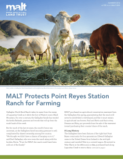 MALT Protects Point Reyes Station Ranch for Farming