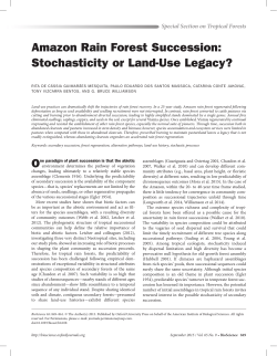 Amazon Rain Forest Succession: Stochasticity or Land