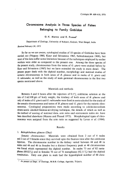 Chromosome Analysis in Three Species of Fishes Belonging to