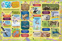 Celebrate Ranger Rick`s birthday with one amazing animal fact for