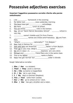 Possessive adjectives exercises