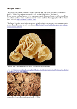 Desert rose - Classroomchat