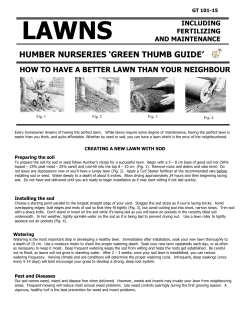 how to have a better lawn than your neighbour