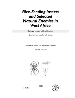 Rice-Feeding Insects and Selected Natural Enemies in West Africa