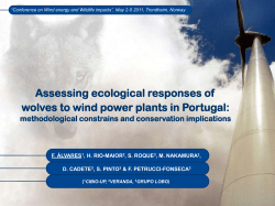 Assessing ecological responses of wolves to wind power plants in