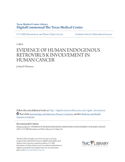 evidence of human endogenous retrovirus k involvement in human