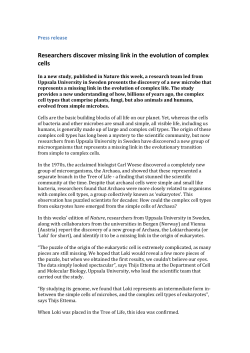 Researchers discover missing link in the evolution of complex cells