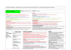 Long Term Reading Overview - The Valley Community School