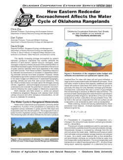 How Eastern Redcedar Encroachment Affects the Water Cycle of