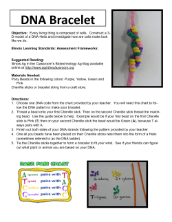 DNA Bracelet - Illinois Ag in the Classroom