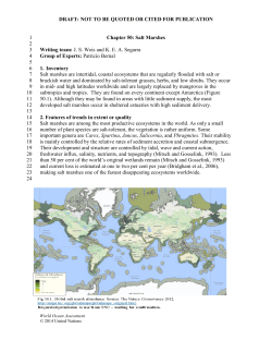 Chapter 50 Salt Marshes