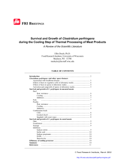 Food Safety Brief - Food Research Institute