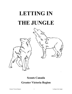 Letting In the Jungle