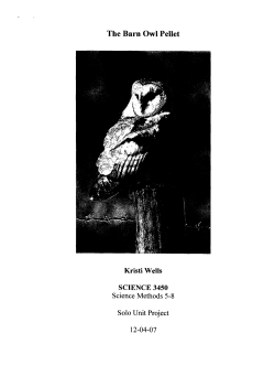 The Barn Owl Pellet - Bemidji State University