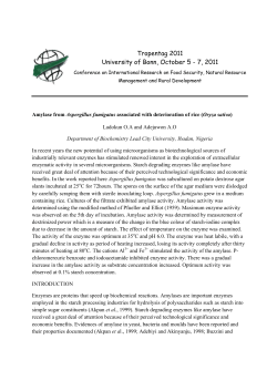Amylase from Aspergillus fumigatus Associated with